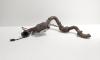Catalizator, cod CM51-5E211-CD, Ford Focus 3, 1.0 benz, M1DA (id:678769)