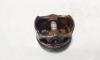 Piston, Vw Golf 6 (5K1) 1.4 TSI, CAX (id:685845)
