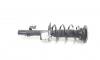 Amortizor stanga fata, Land Rover Range Rover Evoque 2.2CD4, 224DT (id:688261)