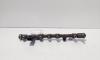 Rampa injectoare cu senzori, cod 8200620689, 0445214113, Renault Megane 3, 1.9 DCI, F9Q754 (idi:685420)