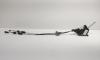 Timonerie, Ford Focus 3 1.6 TDCI, T1DA, 6 vit man (id:688487)