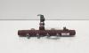 Rampa injectoare cu senzori, cod 8200704212, Dacia Duster, 1.5 DCI, K9K898 (id:689260)