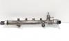 Rampa injectoare cu senzori Delphi, cod A6510700595, Mercedes Clasa C T-Model (S204), 2.2 CDI, 0M651911 (idi:689800)