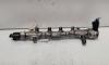 Rampa injectoare cu senzori Delphi, cod 04L130089F, VW Golf 7 Variant (BA5), 1.6 TDI, DGT (idi:690261)