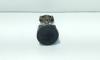 Piston cu biela, Opel Astra G, 1.6 benz, Z16XE (idi:690380)