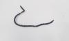 Rampa retur injectoare, Audi A6 (4G2, C7) 2.0 TDI, CGL (id:693782)
