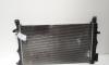 Radiator racire apa,  cod GM13241724, Opel Insignia A, 2.0 CDTI, A20DTH, cutie automata (id:694693)