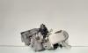 Racitor gaze cu egr, cod 8200804050, Renault Megane 3 Sedan, 1.9 DCI, F9Q750 (idi:695741)
