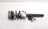 Amortizor stanga fata, Bmw 3 Touring (E91), 2.0 benz, N43B20A (id:696846)