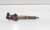 Injector, cod 8200294788, 8200380253, Renault Megane 2 1.5 DCI, K9K732 (id:697156)