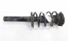 Amortizor fata, VW Eos (1F7, 1F8) 2.0 TDI, BMM (id:697633)