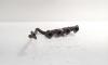 Galerie evacuare, cod 788182, Renault Laguna 3 Combi 2.0 DCI, M9R (id:699117)