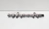 Rampa injectoare cu senzor, cod 55234437, 0445214217, Lancia Ypsilon (312, 846) 1.3 M-Jet, 199B1000 (id:700656)