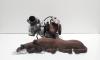 Turbosuflanta, cod 04L253019P, VW Caddy 4 2.0 TDI, CUUB (id:699688)
