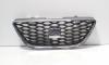 Grila bara fata centrala cu sigla, Seat Ibiza 5 (6J5) 1.4 benz, BXW (id:701768)