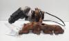 Turbosuflanta, Vw Golf 6 (5K1) 1.6 TDI, CAY (id:702606)