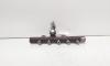 Rampa injectoare cu senzor, cod 8200669694, Renault Clio 3, 1.5 DCI, K9K770 (id:703187)