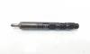 Injector Delphi, cod 166000897R, H8200827965, Renault Clio 3, 1.5 DCI, K9K770 (id:703704)