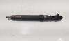 Injector, cod 9686191080, EMBR00101D, Ford Galaxy 2, 2.0 TDCI, UFWA (id:700551)