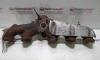 Galerie evacuare, cod 070253033F, Vw Touareg (7LA, 7L6) 2.5 TDI, BPE (idi:295890)