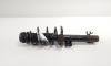 Amortizor dreapta fata, cod 6R0413031Q, Vw Polo (6R) 1.6 TDI, CAY (id:705538)