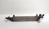 Radiator intercooler, cod 14461-BB50B, Nissan Qashqai 1.6 DCI, R9M402 (id:707166)
