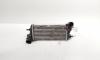 Radiator intercooler, cod BV61-9L440-CG, Ford Focus 3 Turnier 1.6 TDCI, T1DA (id:707687)