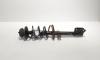 Amortizor dreapta spate, Dacia Duster (id:707171)