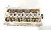 Chiulasa, cod 036103373AM, Vw Golf 4 (1J1) 1.6 benz, BCB (id:706845)