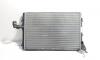 Radiator racire apa, cod 1K0121251DM, Vw Passat (3C2) 2.0 TDI, BKP (id:709140)