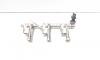 Rampa injectoare cu senzor, cod DM5G-9H487-AB, Ford Focus 3 1.0 benz, M1DA (id:708306)