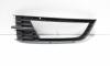 Grila proiector stanga, cod 5E0807681, Skoda Octavia 3 Scout (5E5) (idi:709621)