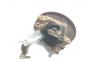 Fuzeta dreapta spate, Ford Kuga I 2.0 TDCI, UFBA, 6 vit man (id:709590)