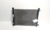 Radiator racire apa, cod 214100078R, Dacia Duster 1.5 DCI, K9KR856 (id:716192)
