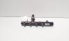 Rampa injectoare cu senzor, cod 175213876R, 141890139, Renault Megane 3 Combi 1.5 DCI, K9KA636 (id:716407)