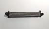Radiator intercooler, cod 7M3820411E, Vw Sharan (7M8, 7M9, 7M6) 1.9 TDI, AUY (id:717497)