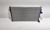 Radiator racire apa, VW Golf 5 (1K1), 1.9 TDI, BXE (id:719081)