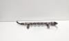 Rampa injectoare cu senzori, cod 9656917280, Land Rover Freelander 2 (FA) 2.2 DT, 224DT (id:720273)