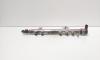 Rampa injectoare cu senzori, cod 55211906, 0445214086, Fiat Doblo Cargo (223) 1.3 M-JET, 199A2000 (id:720536)