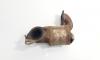 Catalizator, cod 8200347784, Renault Megane 2 1.5 DCI, K9K722 (id:721009)