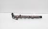 Rampa injectoare cu senzori, cod A6510700495, Mercedes Clasa C T-Model (S204) 2.2 CDI, OM651912 (id:722296)