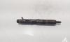 Injector, cod 8200132793, EJBR01401Z, Renault Kangoo 1 Express 1.5 DCI, K9K740 (id:721481)