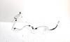 Conducta clima, cod 8K0260710Q, Audi A5 (8T3) 2.0 TDI (idi:522368)