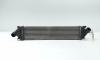 Radiator intercooler, cod 8V61-9L440-AC, Ford C-Max 1, 1.8 TDCI, KKDA (id:730759)