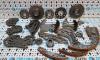 Kit distributie Audi A6 (4F2, C6) 3.0tdi
