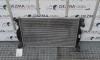 Radiator racire apa, 8E0121251A, Audi A4 (8E, B7) 2.0tdi, BRE