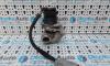 Egr Ford Focus 2, 1.6tdci G8DA, G8DB, 9654818180