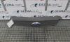 Grila bara fata centala cu sigla, 4M51-8138-AE, Ford Focus 2 combi (DA)