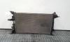 Radiator racire apa, 214105150R, Renault Megane 3 combi, 1.5dci din dezmembrari