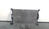 Radiator racire apa, Audi A4 Avant (8ED, B7) 2.0 tdi, cod 8E0121251A (id:360766)